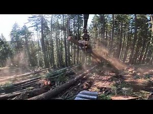 Cutting and feeding the big 555