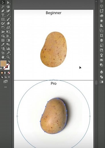 Master Adobe Illustrator from Beginner to Pro!