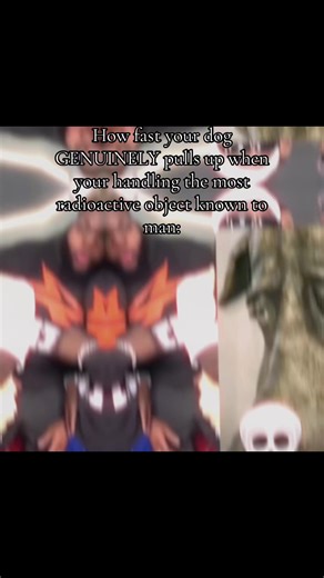 #Meme #MemeCut #fyppppppppppppppppppppppp #fyp #funny | dog