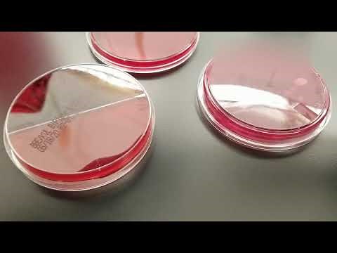 Microbiology: Aerotolerance Test