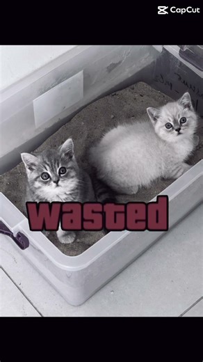 13 more subs to reach 400 subscribers 🎉🎉🎉