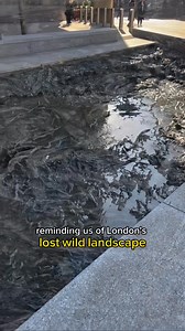 713K views · 9.9K reactions | A nod to one of London’s ‘lost rivers’ in the heart of the financial district. What do you think of it? Called ‘Forgotten Streams’ by Cristina Iglesias, it can be found at either end of the Bloomberg Arcade. #londontravel #londonart #londonhistory #londonartscene #londonartist #hiddenlondon #cityoflondon #history #londontour | Living London History | Facebook