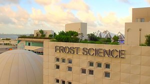 Soar into summer and discover Pterosaurs: Flight in the Age of Dinosaurs, a new exhibition on view now at Frost Science in Downtown Miami. | Phillip and Patricia Frost Museum of Science