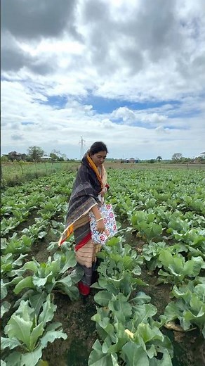 How did the coppice turn out on our land?🤔
