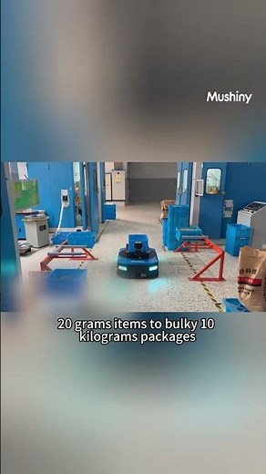 🎬 Curious about how the Mushiny 3D Sorter Mini works?