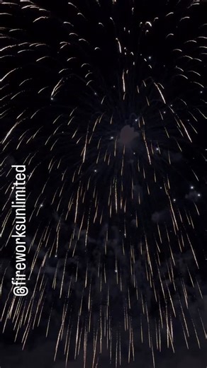 Fireworks Unlimited on Instagram: "16 inch shell Del Vicario 400mm rising stars/bowler hat - kamuro to white strobe - purple pistil to green to white strobe by @f.lli_delvicario_srl #feuerwerk #fireworks #fuochidartificio #vuurwerk #pyrolife #16inch"