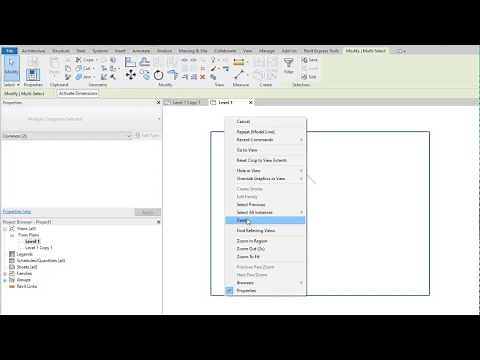Issue Deleting View in Revit