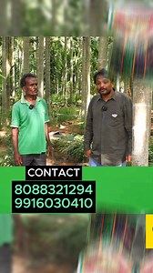 68K views · 1K reactions | ಅಡಿಕೆಯ ಗಾತ್ರ, ತೂಕ, ಇಳುವರಿ ಹೆಚ್ಚಿಸಲು, ಒಂದೇ ಪರಿಹಾರ, ಸಮೃದ್ಧಿ ಸಾವಯವ ಗೊಬ್ಬರ, ಇಂದೇ ಕರೆ ಮಾಡಿ ನಿಮ್ಮ ತೋಟಕ್ಕೂ ಸಮೃದ್ಧಿ ತರಿಸಿ | My Nature India Foundation | Facebook