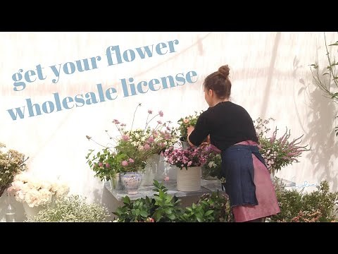 How to get a FLORAL WHOLESALE LICENSE as a Florist