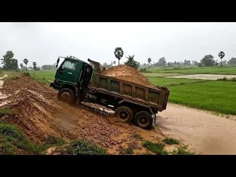 Tropical Haul: Excavators & Bulldozers Battle the Muddy Construction Site