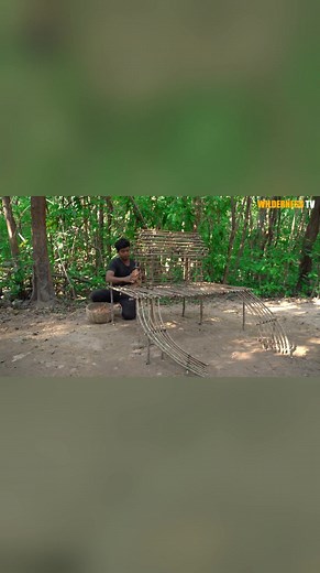 25 reactions | Rescue Kitten Build Mountain House And Fish Pond | Wilderness TV | Facebook