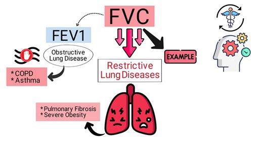 Forced vital capacity (FVC) is a measure of the maximum amount of air a person can exhale forcefully and completely after taking a deep breath, often used to assess lung function. ✔️ | Respiratory Therapy Zone