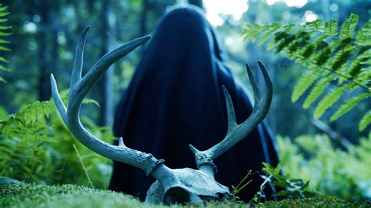 Mother of Flies - Official Trailer | Shudder