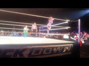wwe smackdown amneville 2013 Layla vs Aksana, Hornswoggle a présenté les divas