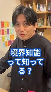 What is borderline intelligence?