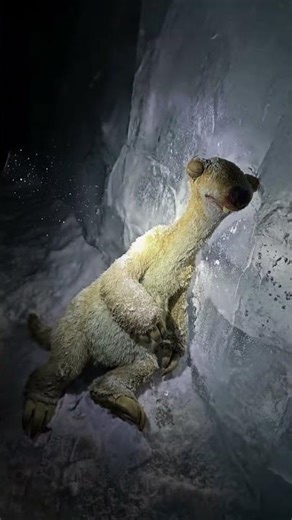 Ice Age: Scrat Frozen in Time - Discovery Scene #iceage