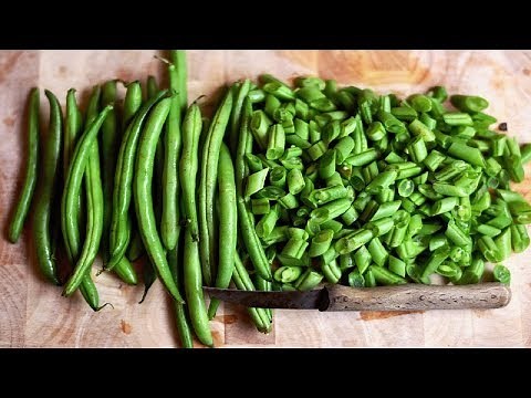⟹ Blue Lake 47 Bush Bean | Phaseolus vulgaris | Bean Review