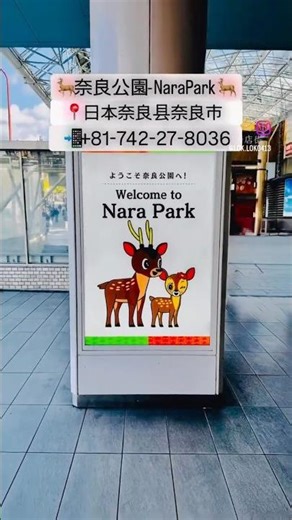 日本｜奈良｜近鉄奈良｜奈良公園｜Nara Park｜奈良の鹿｜梅花鹿｜鞠躬｜小鹿
