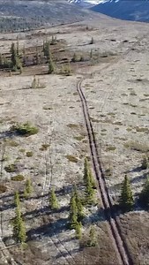 12 reactions | See what it’s like to hop on a bush plane and fly into the heart of grizzly country with us as we chase giants…vid link link in bio.  @jonahklinglermedia #alaska #guidelife #guide #hunting #wilderness #hunt #grizzly #grizzlyhunting #bearhunting #bear hunter #keephammering | Bushwhack Adventures AK | Facebook