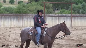 Speed of the Herd Work turn! Phillip Ralls shows you why your herd work turn should be the same speed as the cow and it's after the turn that dictates your speed and position on the cow, demonstrating: * How to get a horse balanced. * The 2 things that allows a horse to get a lower head set through the turn. * How to get a horse comfortable changing speeds. * What can cause a horse to grab the bridle through the middle of the turn and push on you. * How he rides with his feet. * Why you have to 