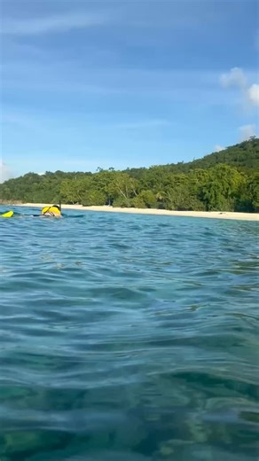 423 reactions · 6 comments | Your St. John moment of serenity ✨ We love being in the moment, enjoying the peace of snorkeling off this incredible island—don’t you?  @virginislandsecotours | Best of St. John | Facebook