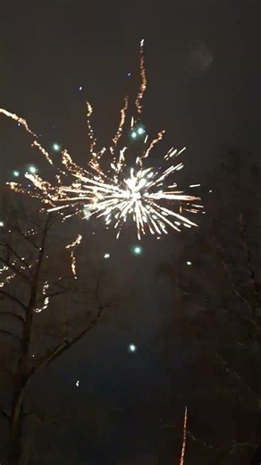 Novoroční OHŇOSTROJ 1. ledna 2026 🎉🌲🎉🧨 #shorts