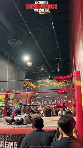 Get Ready for Epic Entertainment! #shorts #dwarfanators