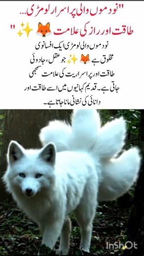 Nine-Tailed Fox 🦊✨ #NineTailedFox #LegendaryFox #Mystery #ytshorts #viralvideo #naturefacts #yt