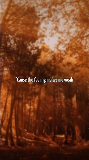 sombr - Back To Friends | Lyrics