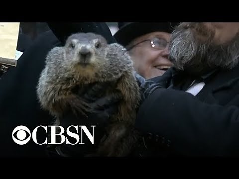 Groundhog Day 2019: Punxsutawney Phil makes his weather prediction