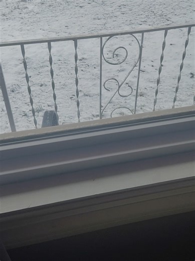 First world problems