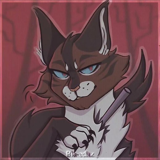 [#hawkfrost + #ivypool]~edit || me and Mr wolf || NOT A SHIP!!! ||