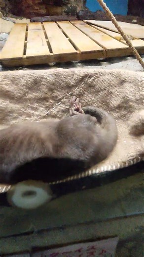 北海道小樽水族館