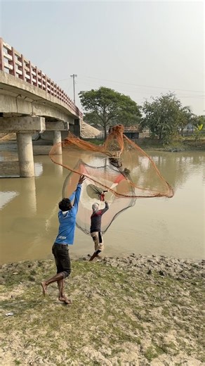 Castnet fishing #fishing #fishinglife #castnetfishing #bigfish #fish #largefish