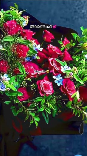 Pyar Bolda || love || status || gulab || #shorts #trending #shortsfeed