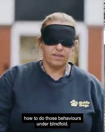 What do our dogs learn throughout their guide dog training at our regional centres? 🐶 Lucy Michaliszyn, Training & Behaviour Consultant, tells us in the fifth episode of ‘The journey of a guide dog’ YouTube series. The brand-new episode is live on our YouTube channel now: https://bit.ly/3CEYYmA 👈 [Visual Description: Clip cuts between a guide dog trainer walking with a trainee guide dog, putting a harness on a trainee guide dog and standing at a train platform with a trainee guide dog. The cli