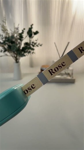 🏠 My Home Glow-Up with This Tiny Label Maker!