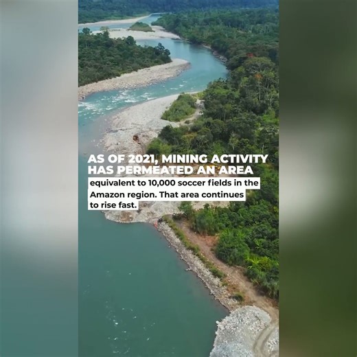 23 reactions | #MiningOut of the Amazon   In the province of...