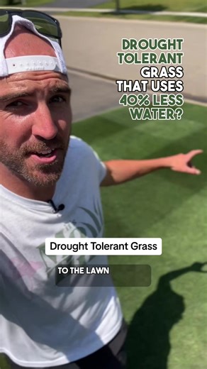 Use 40% LESS Water 💦 with a TWCA Certified Drought Tolerant grass type in your lawn 🌱 Fall is the BEST time to overseed new grass seed into an existing lawn for a cool season lawn. If you’ve struggled eith drought-like weather in previous years, this is a GREAT path to achieve sustainable DIY Lawn Care 📚 | Download my FREE guide “What Grass is BEST for Me!?” for my recommendations on what’s best for your yard, local environment, and lifestyle! #lawntok #lawntiktok #grasstok #grasstiktok #lawn