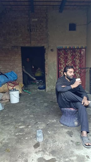 Exploring TikTok Love: Trends and Moments