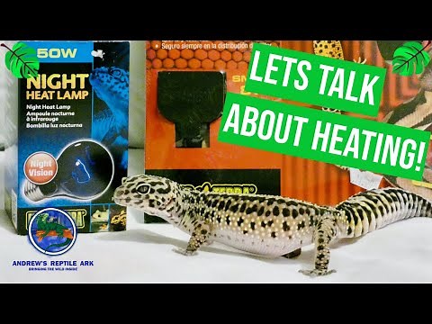 Leopard Gecko: Heating and Lighting Guide!