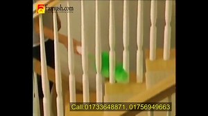 Go Spin Duster (battery operated, 2A size 4pc battery needed.) Price: 780tk Contact : 01733648871, 01756949663, 01726705498, 01741514457 To order click http://faanush.com/product-category/health-n-beauty-care/ or also inbox product name ,delivery address and Phone no. Call: 01726668369, 01753889826, 01728487747, 01755728674 *We offer 3 days after sales service for non warranty products* Office Address : Suite - 5, 8th floor, Sahera tropical centre, BATA signal, Elephant Road , Dhaka. ( Visiting 