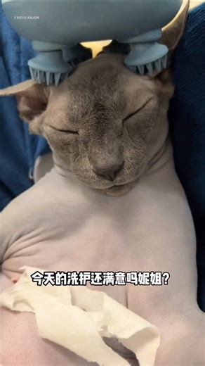 That's why shouldn't keep a black cat 🐈‍⬛😲 | बाब रे 😰