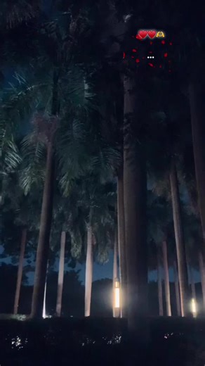 حُبہ ♡ على TikTok