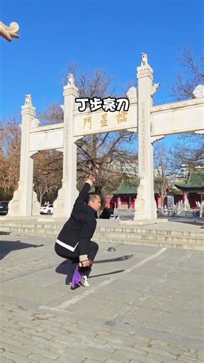 Master Shaolin Solo Sword: Beginner to 3rd Dan in 30 Days