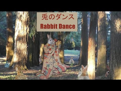 兎のダンス RABBIT DANCE
