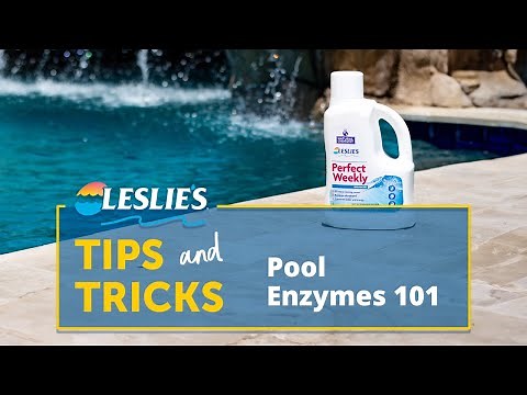 Tips & Tricks: Pool Enzymes 101 | Leslie's