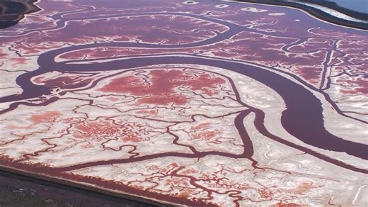 2.8K views · 47 reactions | PINK POND: The latest craze is over a...