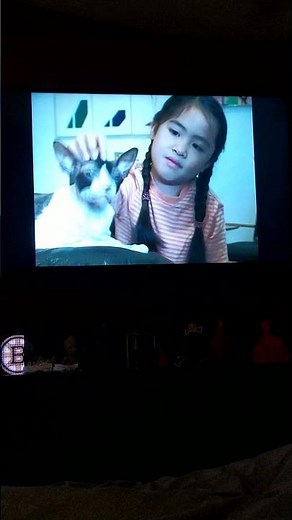 ELMO'S WORLD PETS 2006 DVD