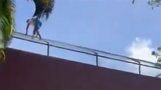 Moment man climbs into lioness enclosure before deadly attack